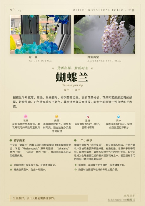 蝴蝶兰 A5 卡片