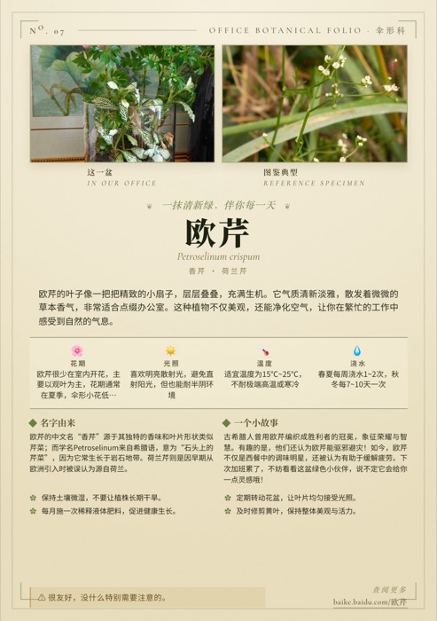 欧芹 A5 卡片